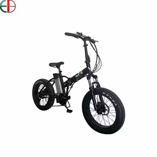 36V 250W 16inch Foldable Ebike Mini Folding Electric Mountain Bike with Rear Drive Motor