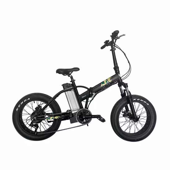 36V 250W 16inch Foldable Ebike Mini Folding Electric Mountain Bike with Rear Drive Motor