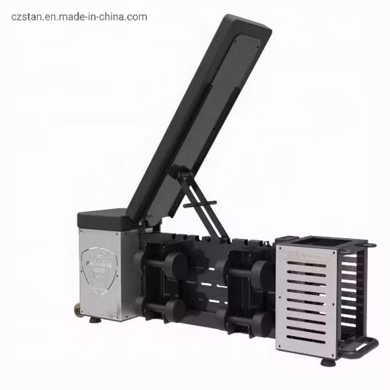 Weight Lifting Adjustable Bench Press Stool Dumbbell Storage Sit up Decline Bench