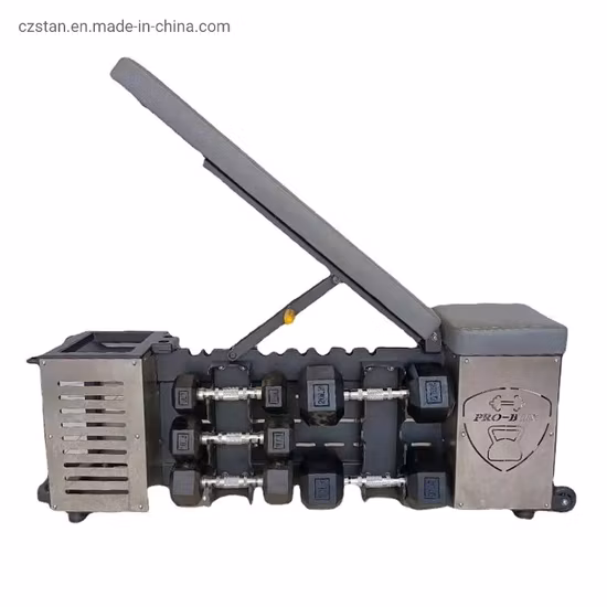 Weight Lifting Adjustable Bench Press Stool Dumbbell Storage Sit up Decline Bench