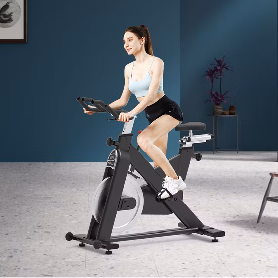プロフェッショナル商業ミニ磁気フィットネスエクササイズスピニングバイクスピンバイク屋内ホームフィットネストレーニング用